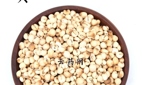 胸腺肽注射液功效与作用是什么网胸腺肽的功效与作用知识网站,分享胸腺肽注射剂的作用与功效大全